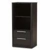 Baxton Studio Modern 2-Drawer Bookcase Dark Brown